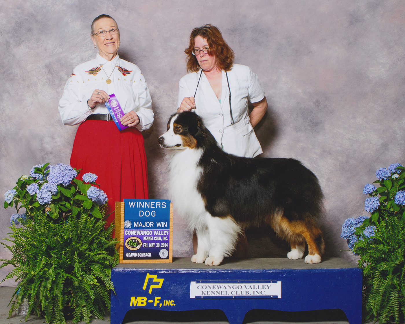 Hightide Kennel • Jackson's Photo Gallery